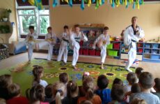 Więcej o: Pokaz Taekwondo Olimpijskiego z okazji Dnia Chłopca